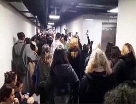 Bahçeşehir'de Eros adlı kediye yapılan saldırıya verilen ceza açıklandı