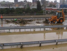 Hayvanlarda telef oldu.