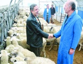 Başakşehir?de Kurban Organizasyonu 