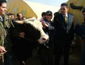 Başakşehir Kurban Kesim ve Satış Yerleri