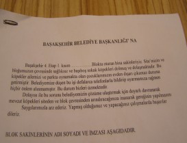 Korku Salan Başıboş Köpekler
