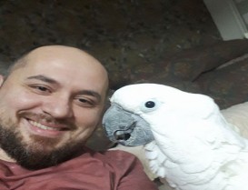 4. Etap'ta  Hacizler