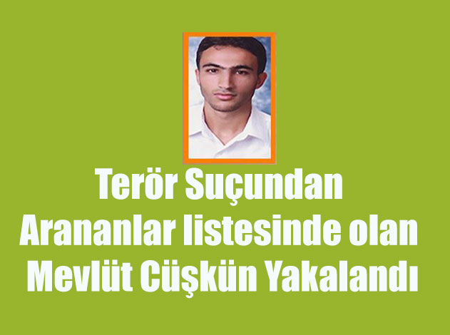 Terör örgütü El Kaide üyesi Başakşehir'de yakalandı