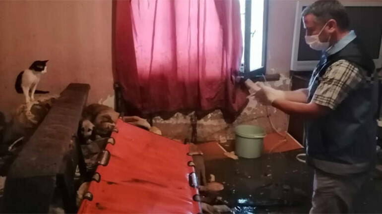 20 kedi ve 10 köpeğiyle yaşayan 70 yaşındaki Mukaddes Pehlivan Yağmurda zarar  gören evini boşaltmak istemedi