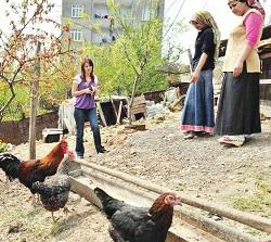 Tencere bahçeden kaynıyor ?yoksulluk olgunu çocuk? artık istememeyi öğreniyor
