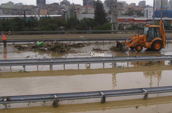 Hayvanlarda telef oldu.